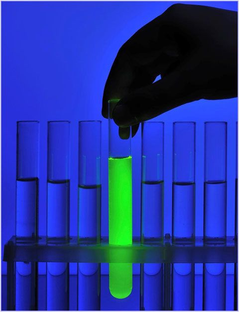 fluorescent_test_tube_cropped_for_web